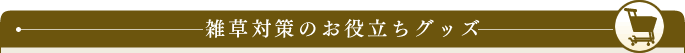 G΍̂𗧂ObY