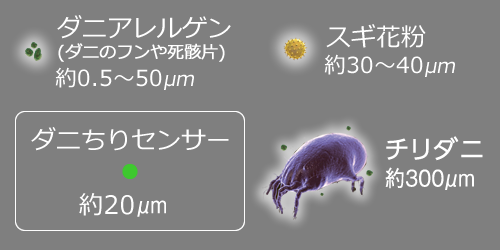 ダニアレルゲン、スギ花粉、チリダニ
