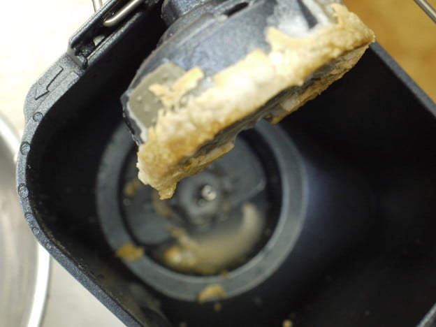 水に浸けてた羽根の部分の残りのパン ふにゃけてきたかな?