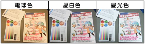 光の色によって、こんなに見え方が変わるんです。