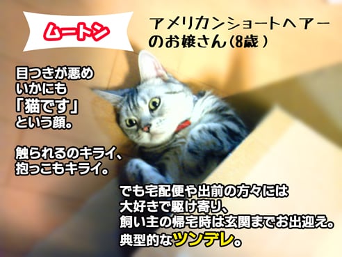 ムートン