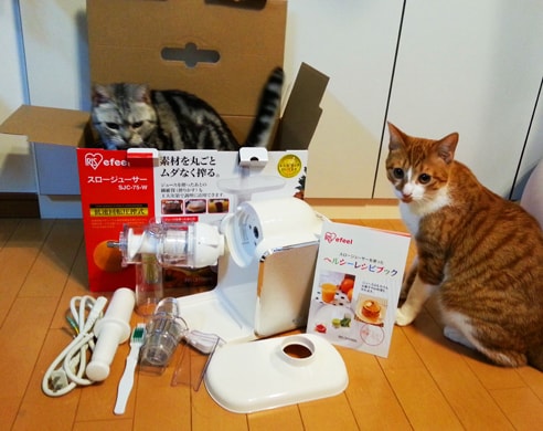 箱と聞くと、飛んでくる生き物が2匹いますが