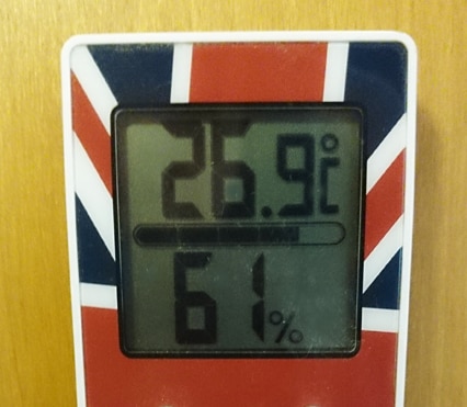 61%
