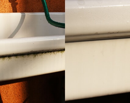 コケが生えてた水道も
