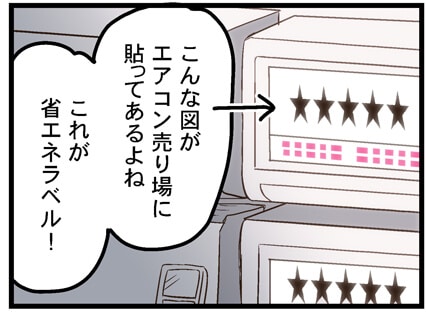 これが省エネラベル!