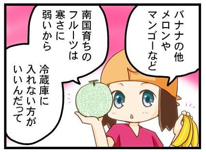 バナナの他 メロンやマンゴーなど