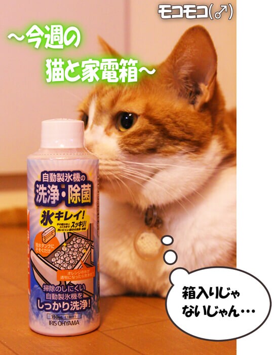 今週の猫と家電箱
