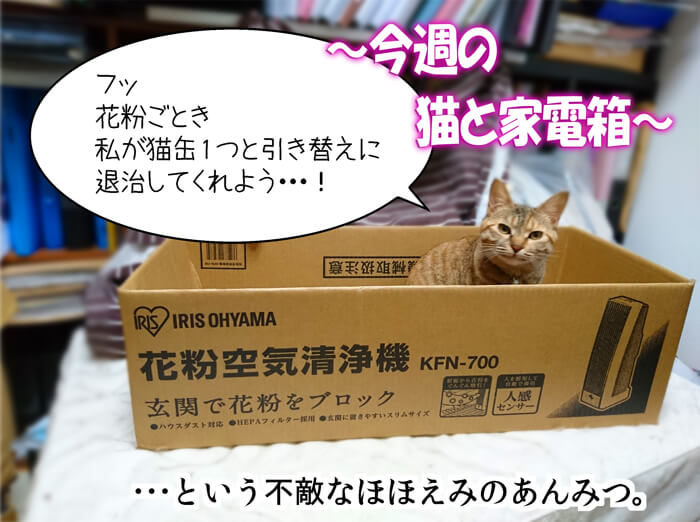 今週の猫と家電箱