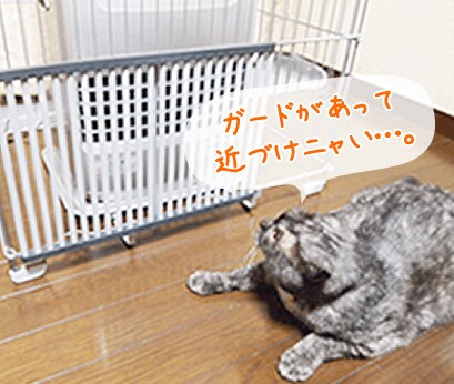 ガードがあって近づけニャい