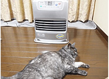 いつも思っていること、それは・・・「近すぎやしませんか??」