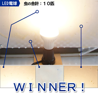 LED / 10匹