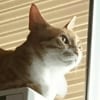モニターさんプロフィール画像