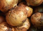 使える!冷凍保存の裏ワザ〜野菜編〜