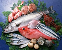 使える!冷凍保存の裏ワザ〜肉・魚介類編〜