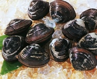 使える!冷凍保存の裏ワザ〜肉・魚介類編〜