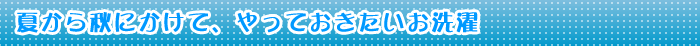 夏から秋にかけて、やっておきたいお洗濯