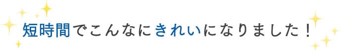 短時間でこんなにきれいになりました!
