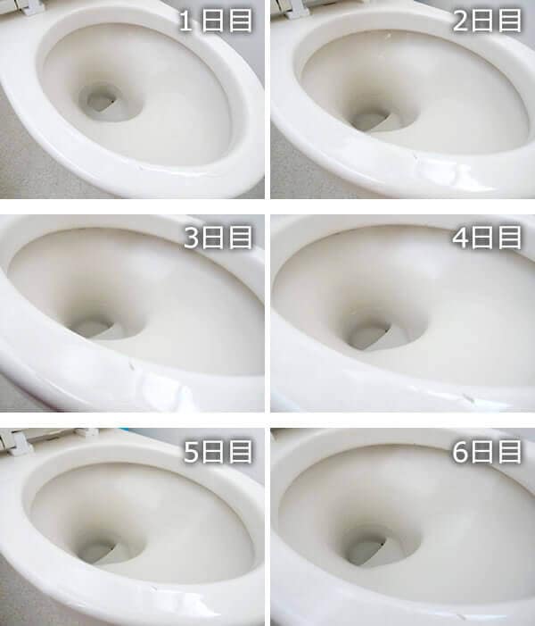 6日間使ってみた