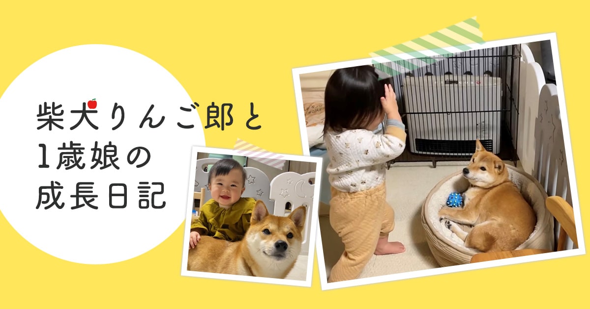 最近は柴犬兄さんがどう反応してくれるか楽しんでる娘がいる 柴犬りんご郎と1歳娘の成長日記 アイリスプラザ メディア 最近は柴犬兄さんがどう反応してくれるか楽しんでる娘がいる 柴犬りんご郎と1歳娘の成長日記 アイリスプラザ メディア
