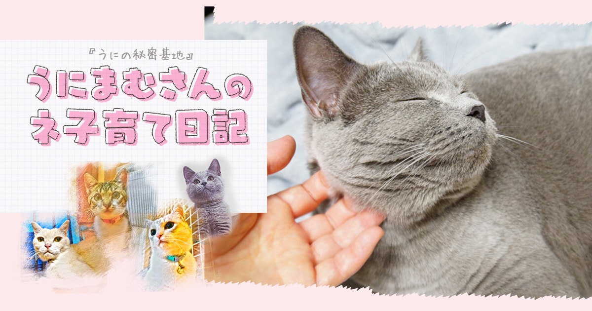 おたすけトッピング♪～コーギー小太郎のわんぱくライフ