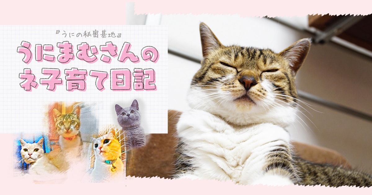 本気を出したらスゴイんです～うにまむさんのネ子育て日記