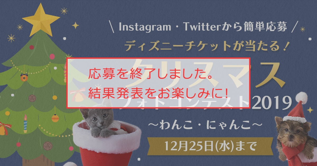 ディズニーチケットなど豪華プレゼントが30名様に当たる クリスマスフォトコンテ アイリスプラザ メディア