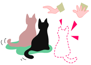 室内での過ごし方