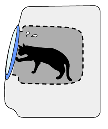 室内での過ごし方