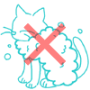 ʐ^