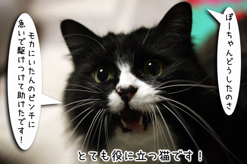 摜5