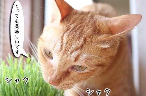 摜2