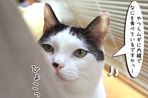 摜4