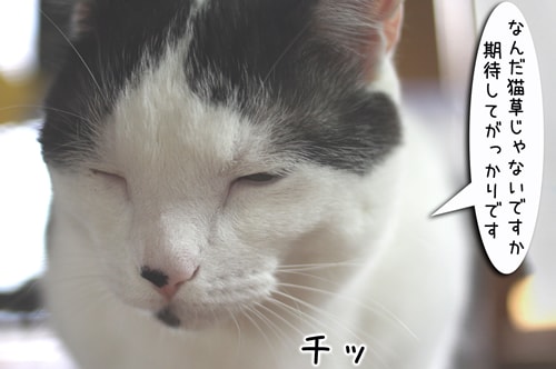 摜5