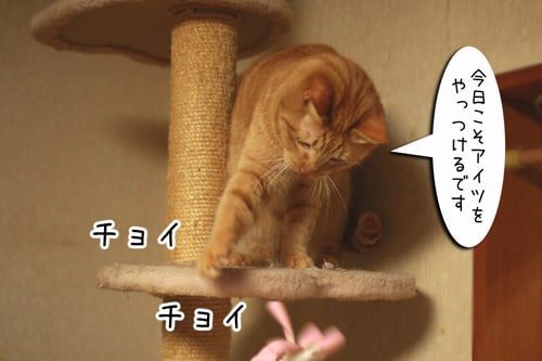 摜2