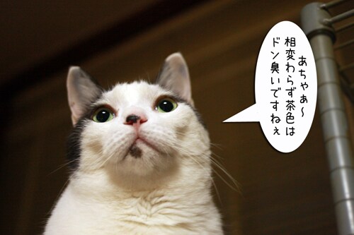 摜5