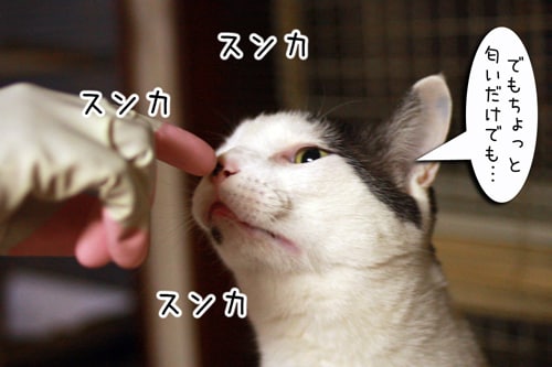 摜7