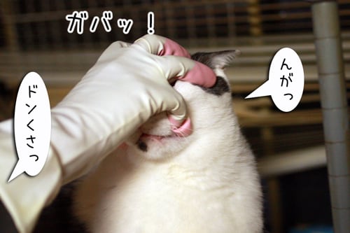 摜8
