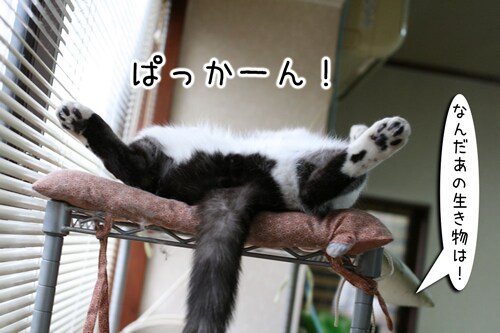 摜1