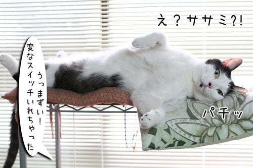 摜3