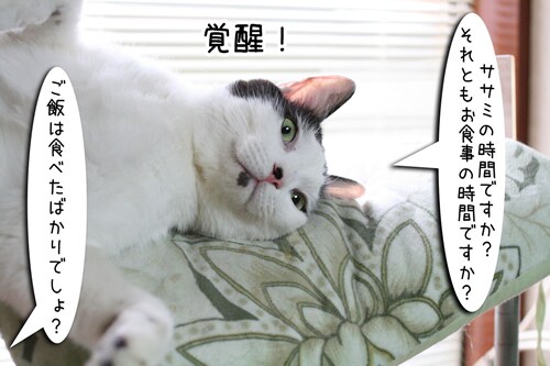 摜4