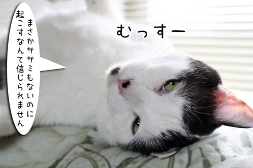 摜5