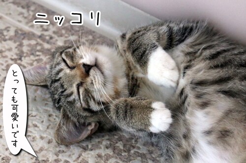 摜8
