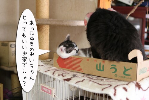摜1