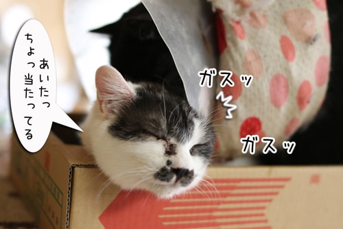 摜4