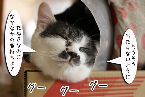 摜6