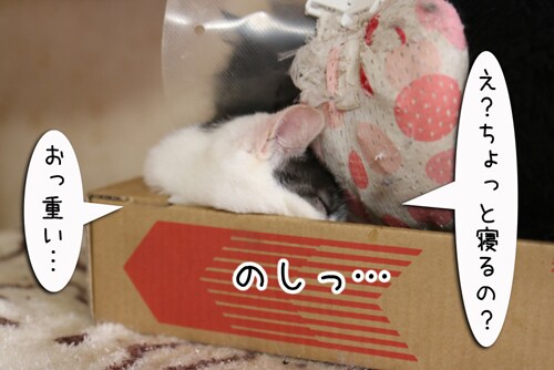 摜7