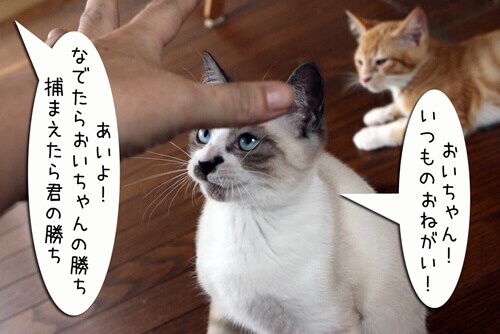 摜1