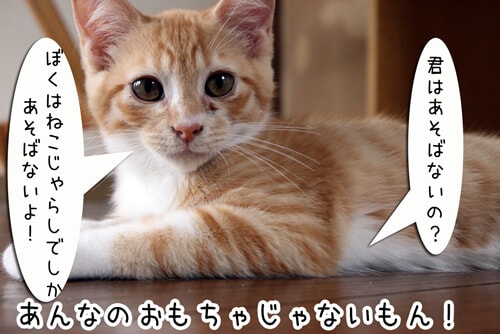 摜4