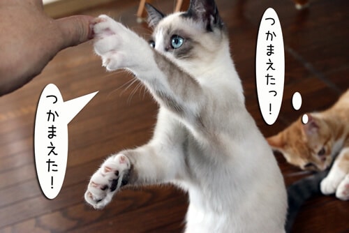 摜6