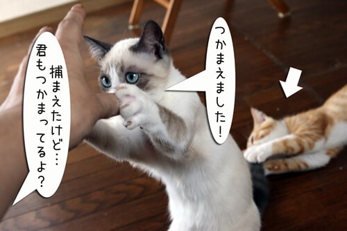 摜7